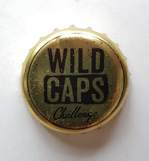 Desparados, Brasserie Fischer